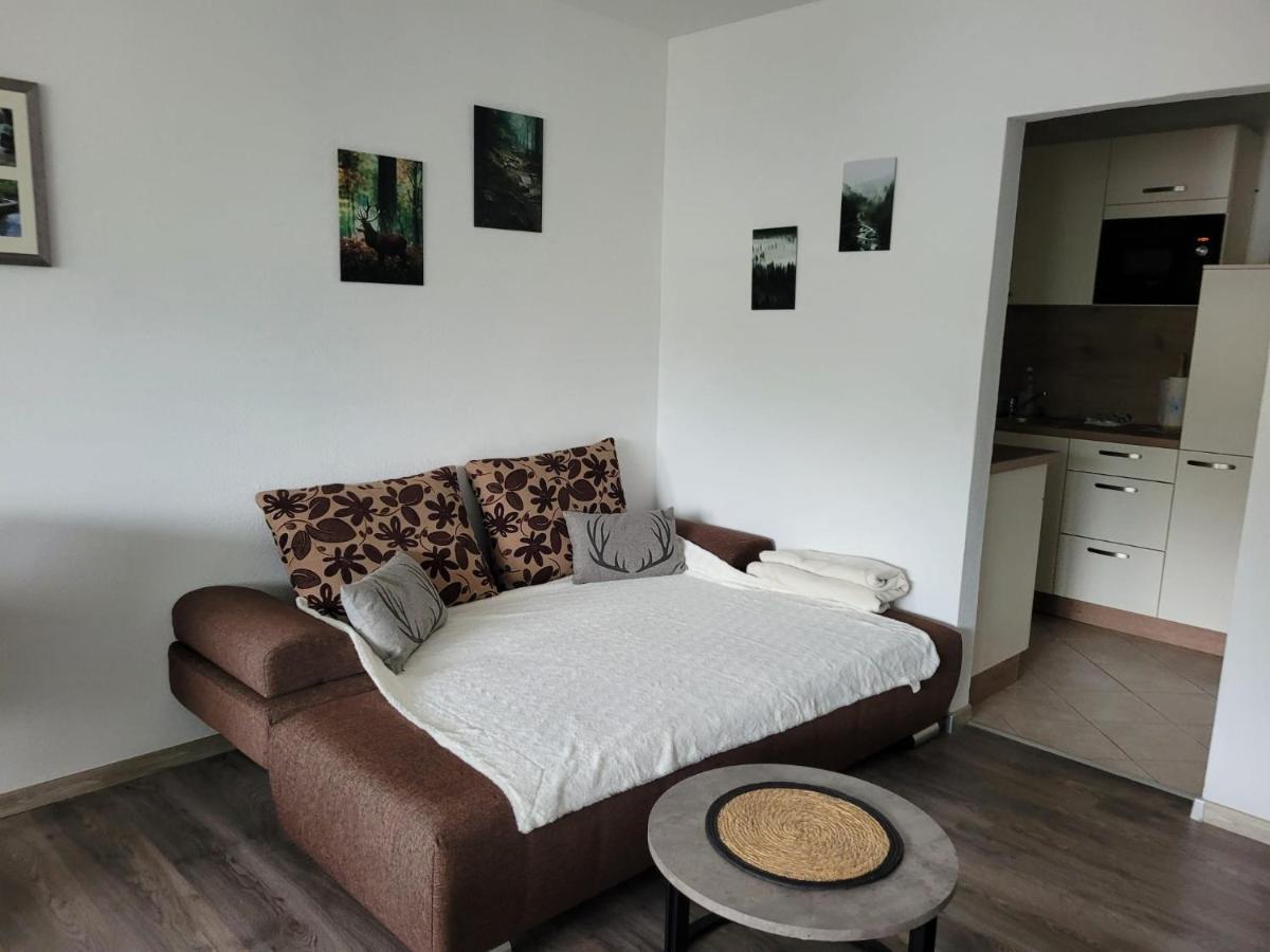 Ferienwohnung Hilde Бад Петерстал-Грисбах Екстериор снимка